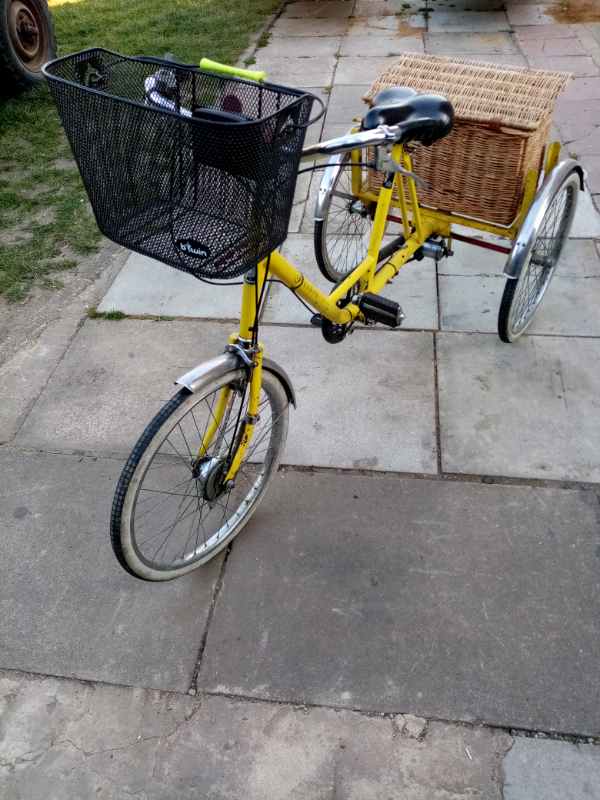 gumtree tricycle